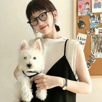 天降神犬2